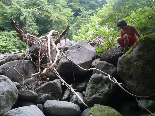 c0209409_1262233.jpg
