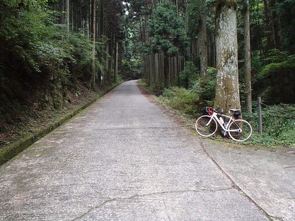 f0219810_20474270.jpg