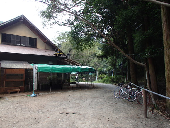 f0219810_20482146.jpg