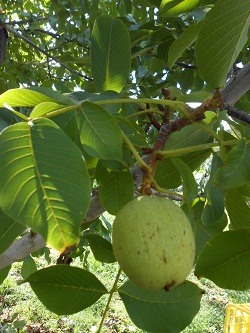 c0229312_61640.jpg