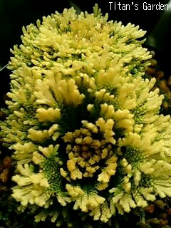 b0099813_0424216.jpg