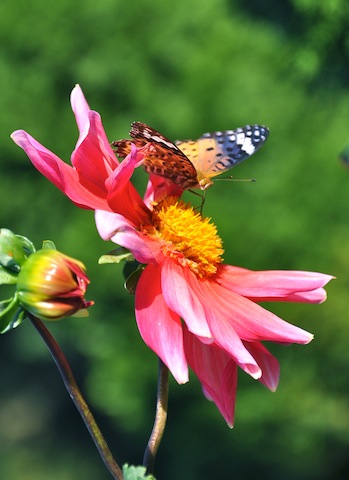 c0248013_21223340.jpg