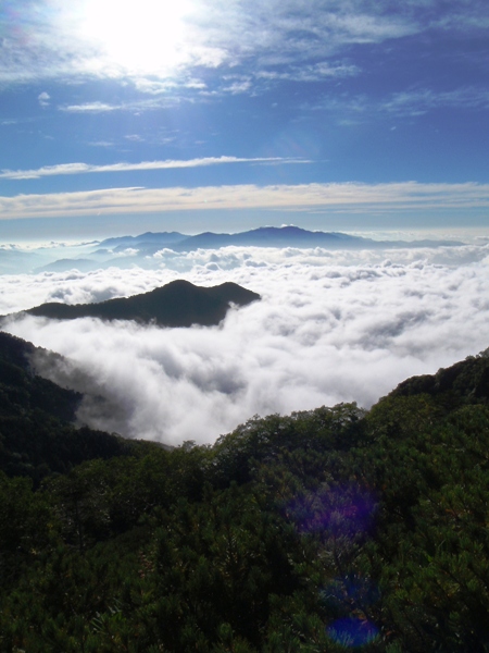 c0177814_1758455.jpg