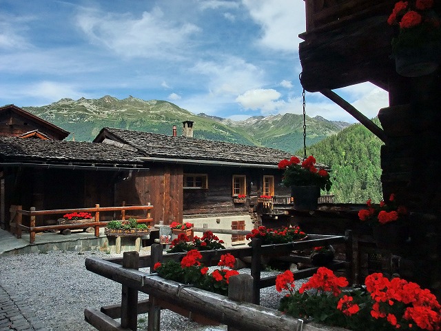 e0184921_1452361.jpg