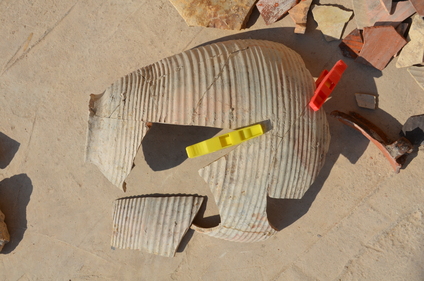 c0112823_440241.jpg