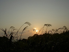 b0252727_2271135.jpg