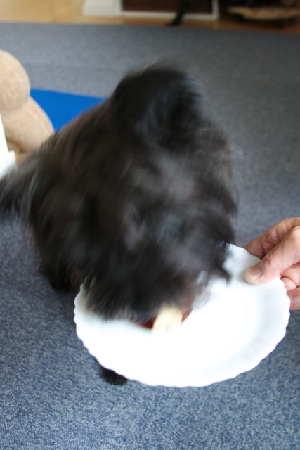 e0021328_17430.jpg