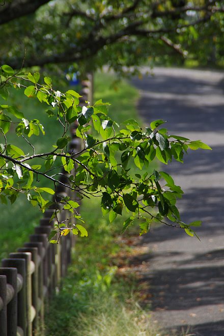 b0134829_20395925.jpg