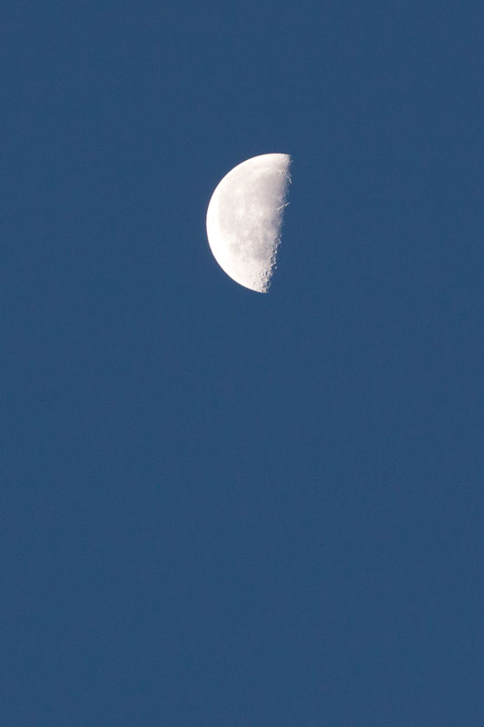 b0177233_5174853.jpg