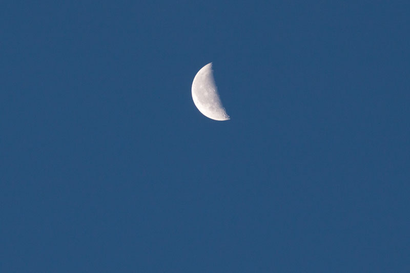 b0177233_5202547.jpg