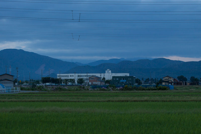 b0177233_521660.jpg