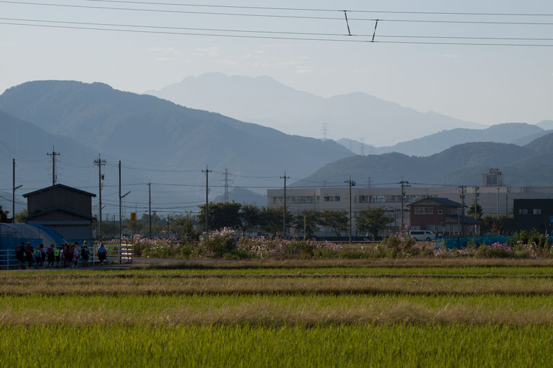 b0177233_5224511.jpg