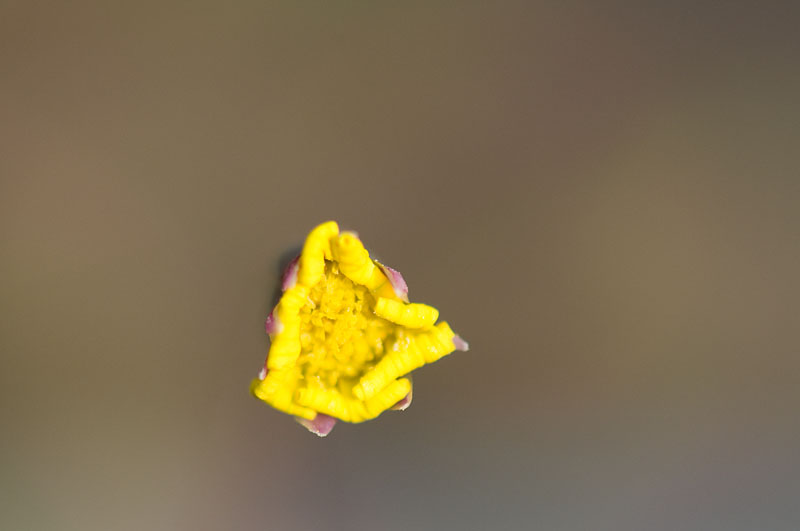 b0042837_2132758.jpg