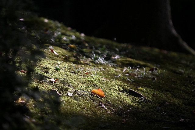 a0242438_19113671.jpg