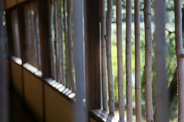 a0242438_19123824.jpg
