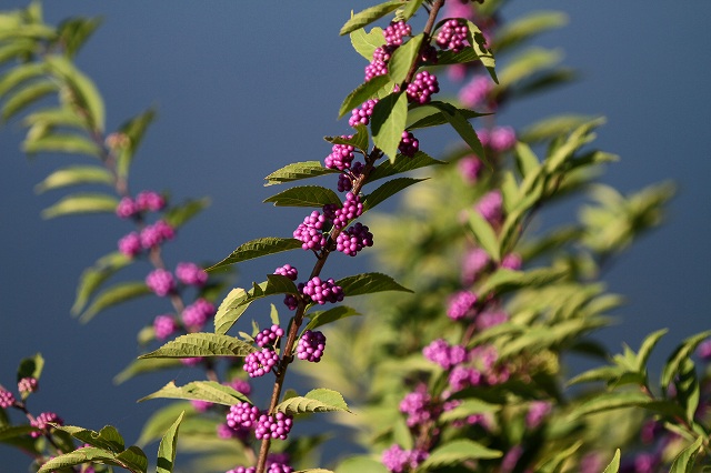 a0242438_19132398.jpg