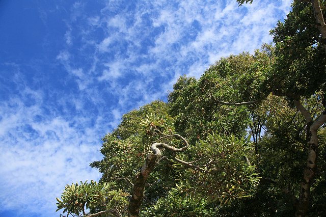 a0242438_19134865.jpg