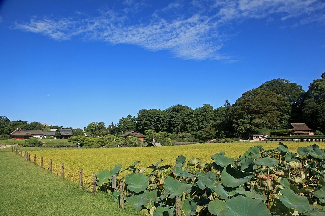 a0242438_19143578.jpg