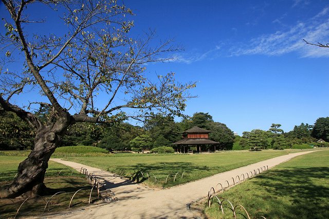 a0242438_191521.jpg