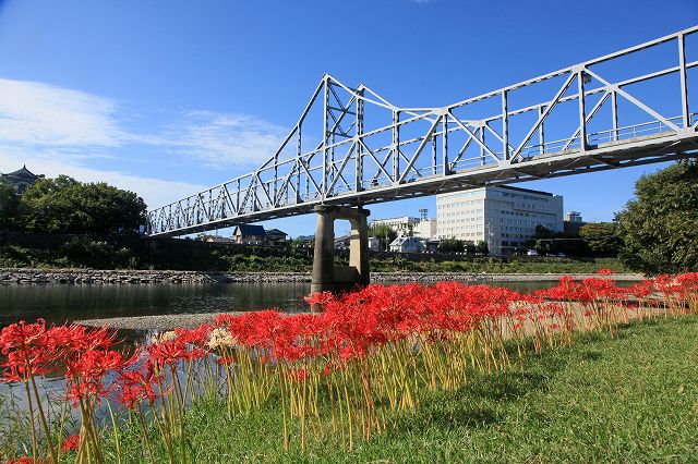 a0242438_1943765.jpg