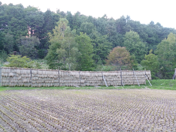 c0233141_11161718.jpg