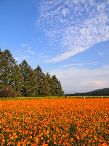 b0199742_23515.jpg