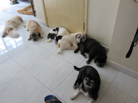 e0018143_0443676.jpg