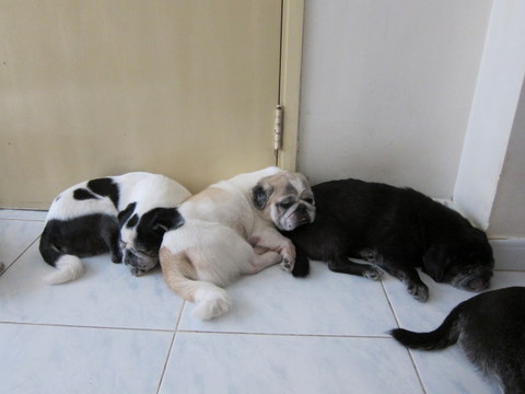 e0018143_0453568.jpg