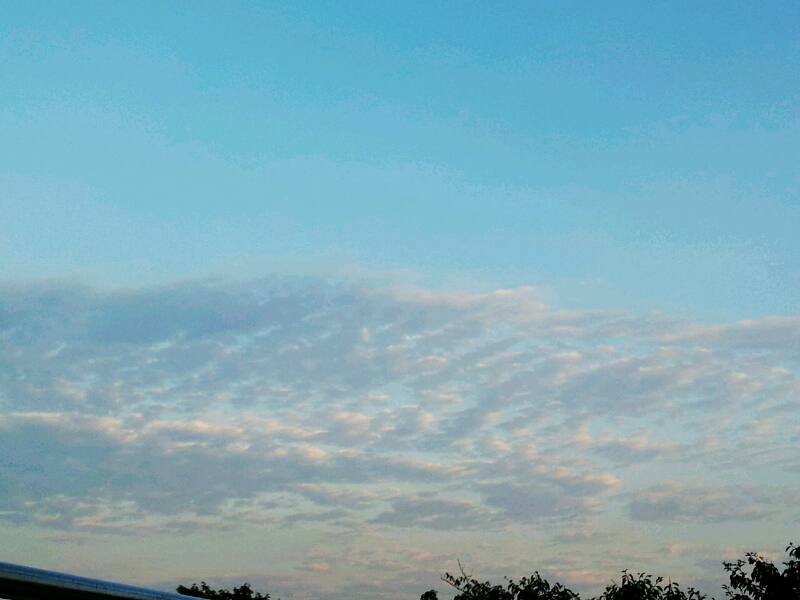 c0189747_16593142.jpg