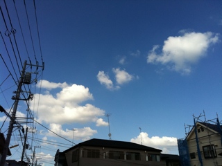 f0179947_1324193.jpg