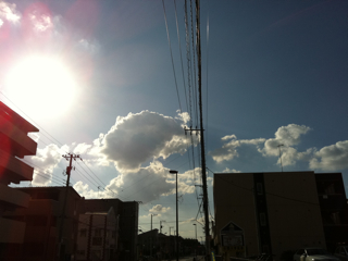 f0179947_1334862.jpg