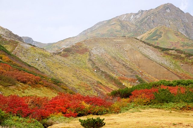b0122448_21512678.jpg