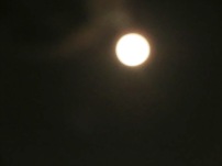 a0082451_21255637.jpg