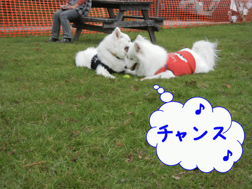 a0269552_23501658.gif