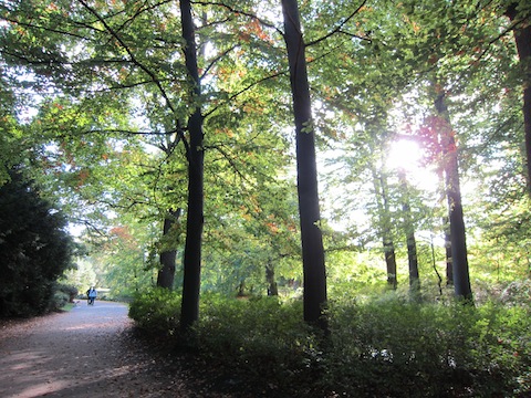 b0200852_16572523.jpg