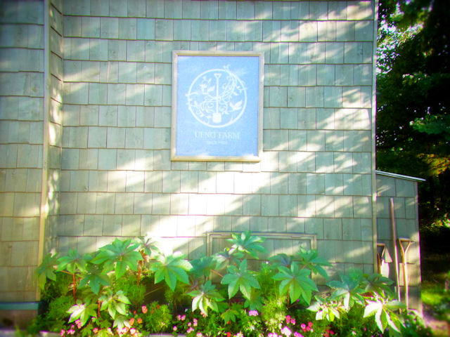 c0230252_20544555.jpg
