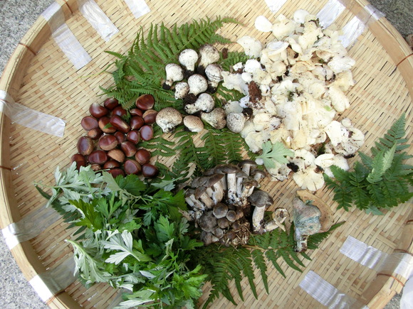 f0201157_1043511.jpg
