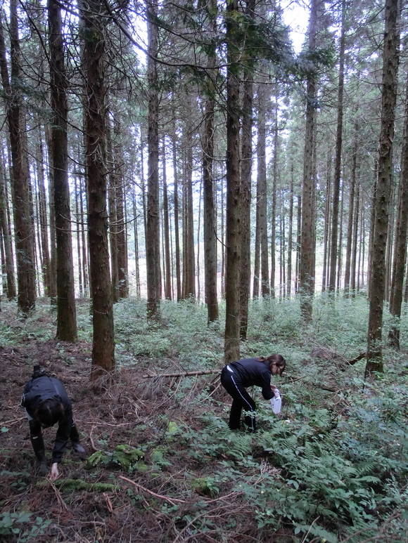 f0201157_8464330.jpg