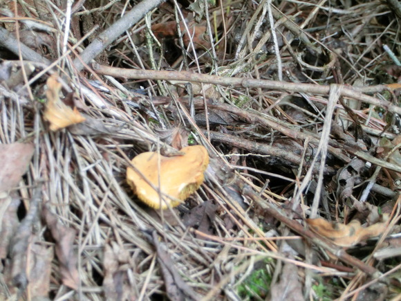 f0201157_847108.jpg