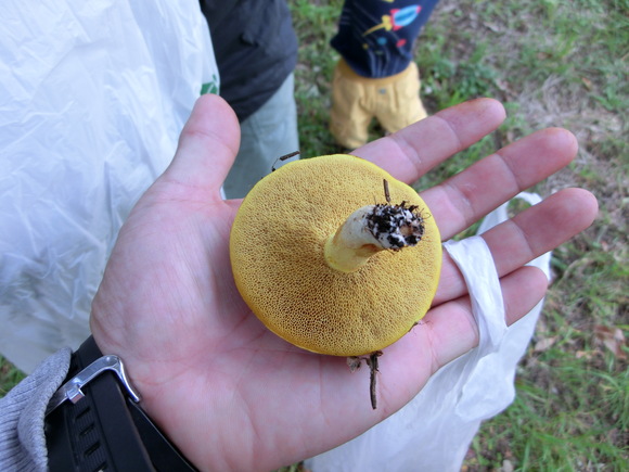f0201157_8474195.jpg