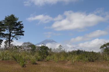 f0214858_23104635.jpg