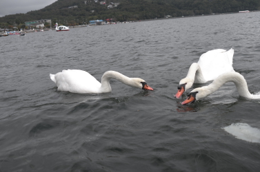 f0214858_2352774.jpg