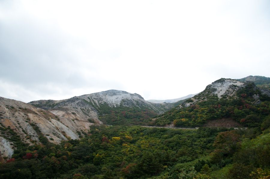 e0290160_20423491.jpg