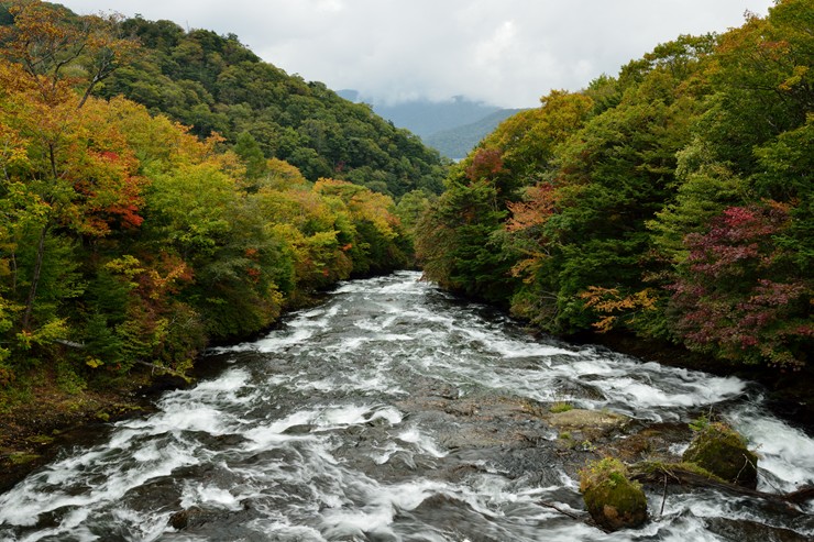 f0222161_10204797.jpg