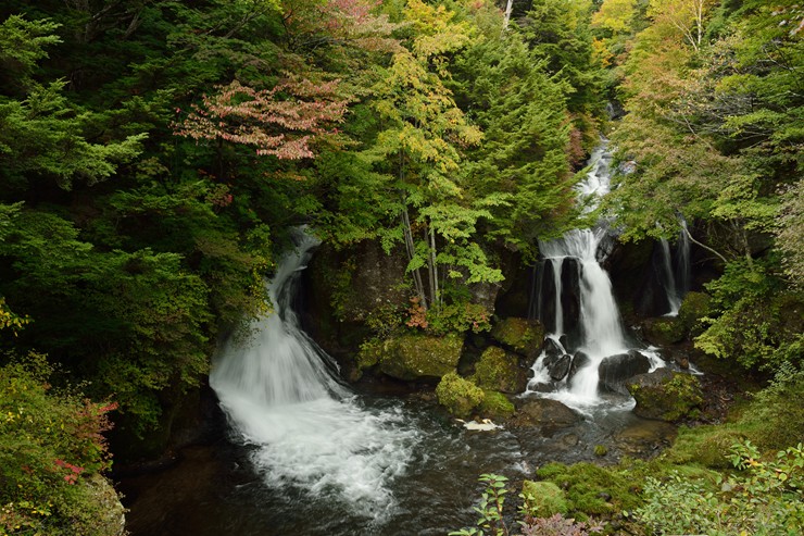 f0222161_10205294.jpg