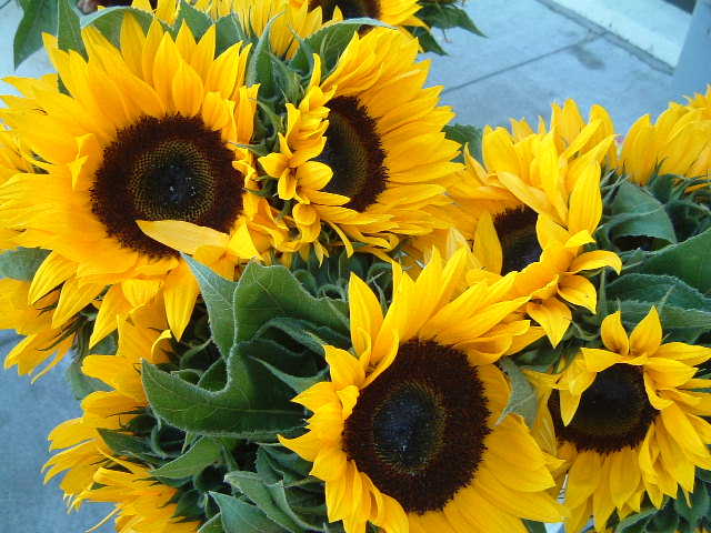 c0115366_15305671.jpg