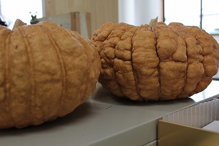 c0248067_8533184.jpg