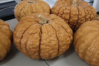 c0248067_854852.jpg