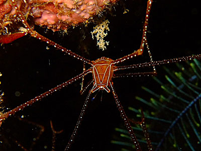 b0033573_22193755.jpg