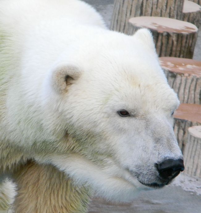 b0014576_7442980.jpg